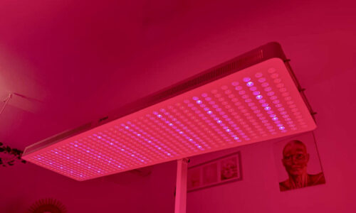 Red Light Therapy1